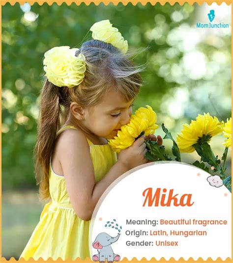 name it mika|Mika: meaning, origin, and significance explained